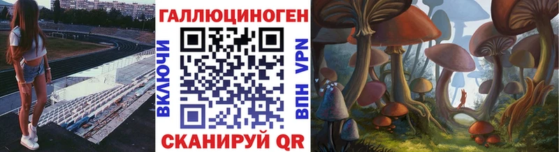 купить наркоту  Гусев  Галлюциногенные грибы Psilocybe 